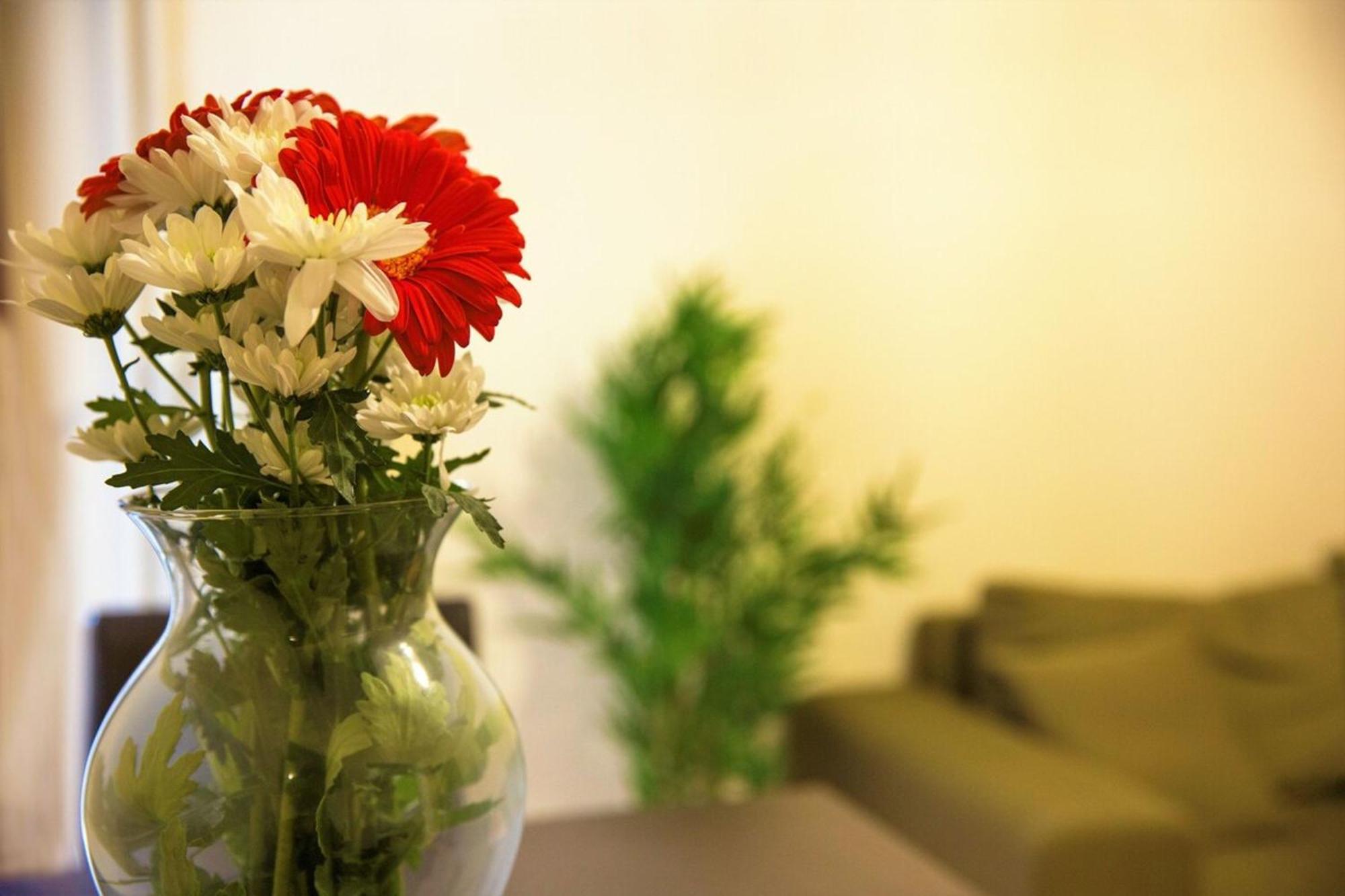 Peaceful Renovated Apartment Near Lycabettus Hill 雅典 外观 照片